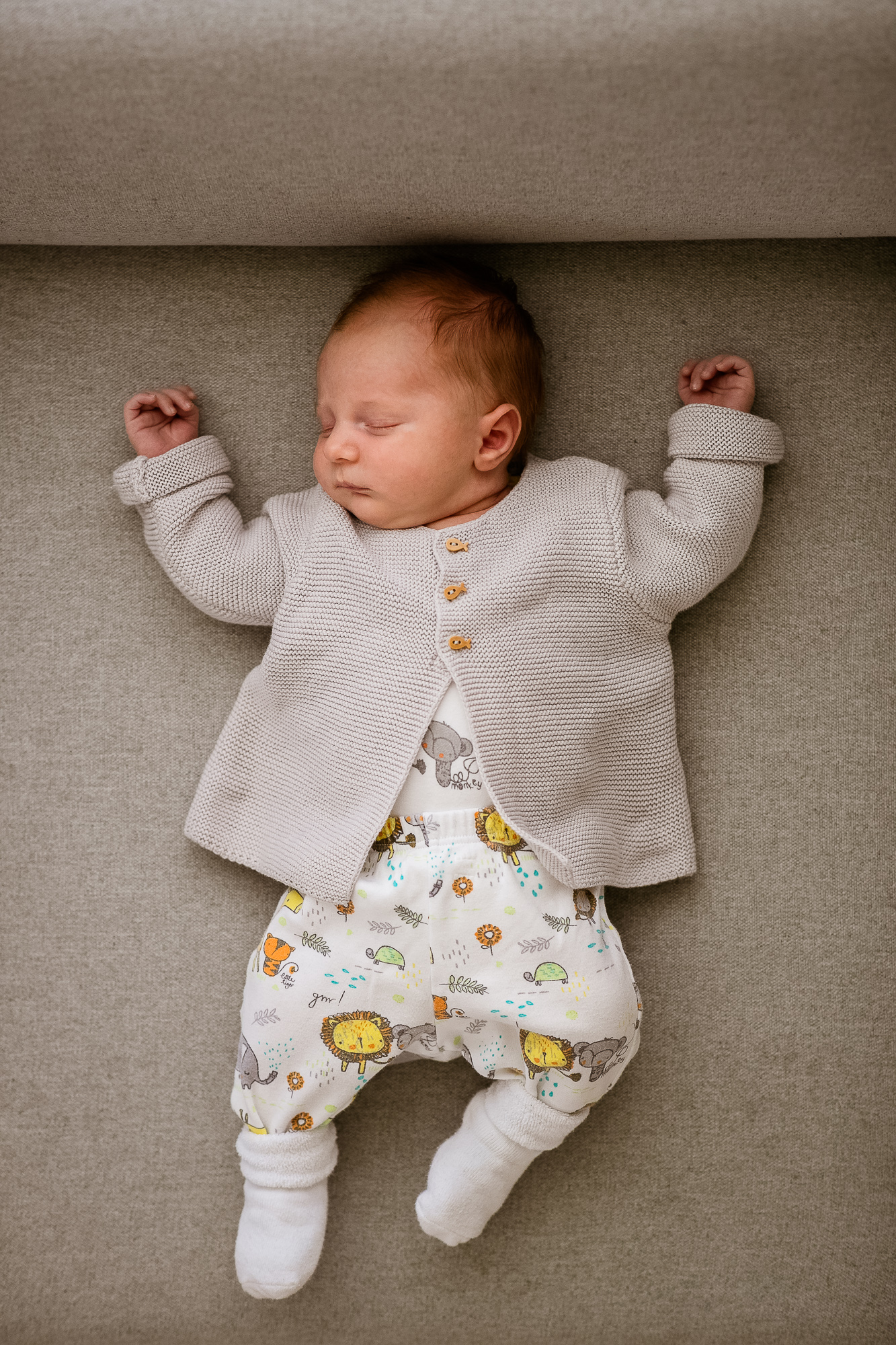 Export x3 1DX28377 Bearbeitet Familienfotoshooting 2019 Hefti